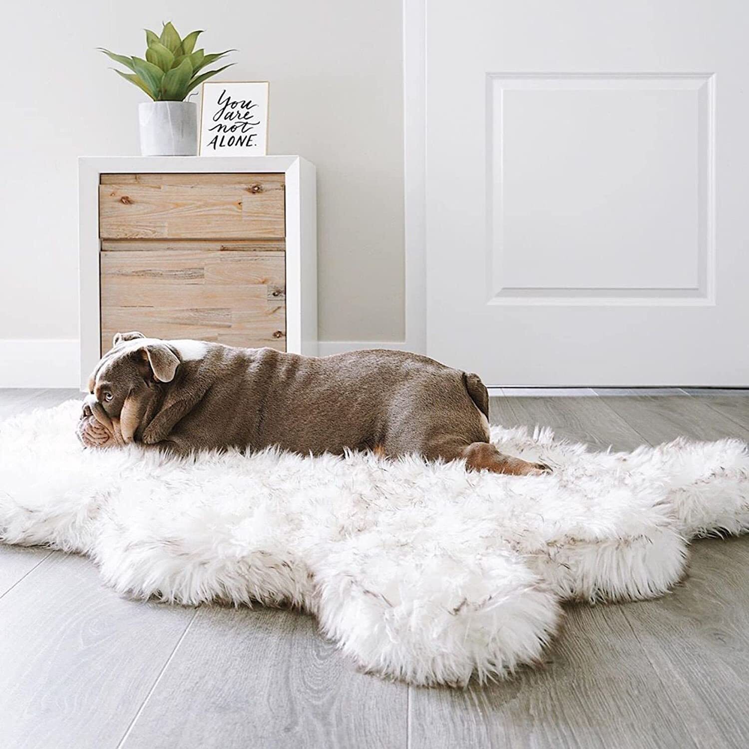 Faux Fur Large Dog Bed
