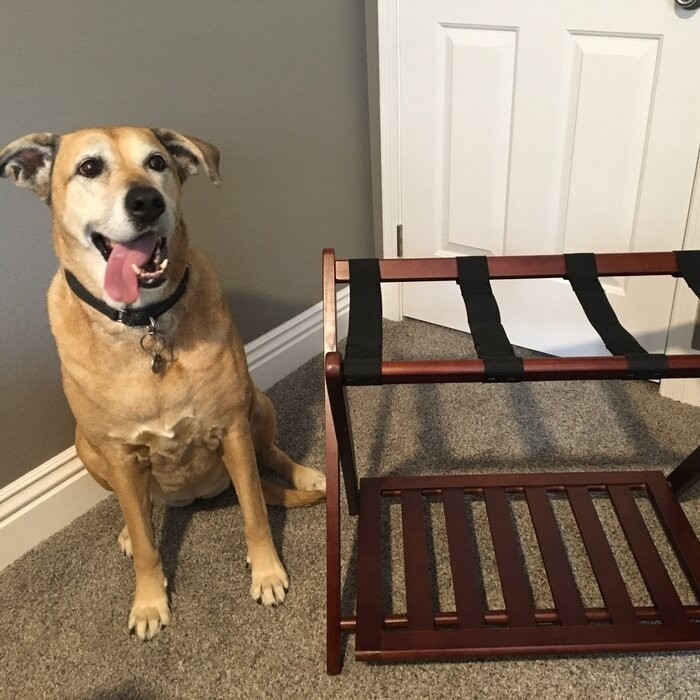 Folding Wood Luggage Rack