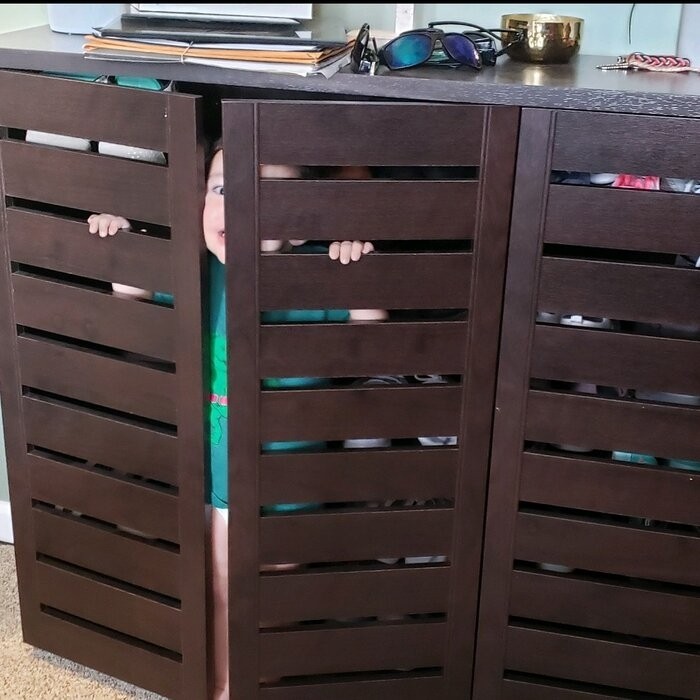 Gavin 20 Pair Shoe Storage Cabinet