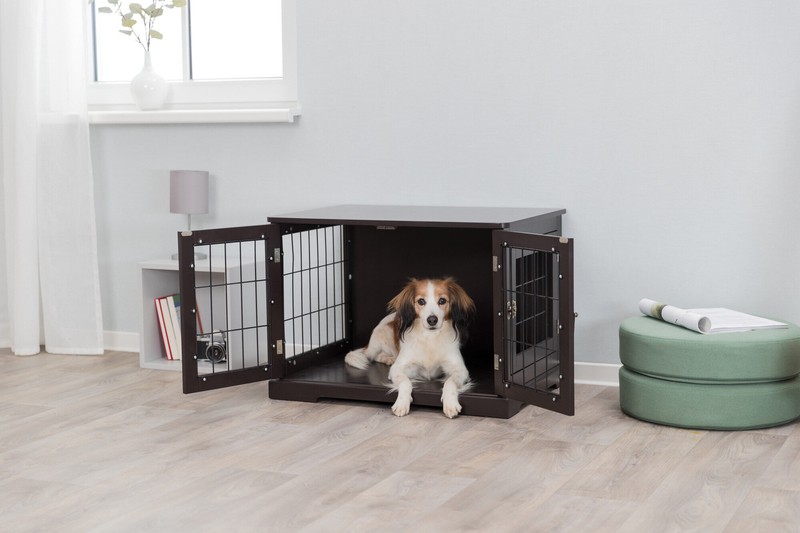 Goetz Wood and Wire Design Medium Pet Crate