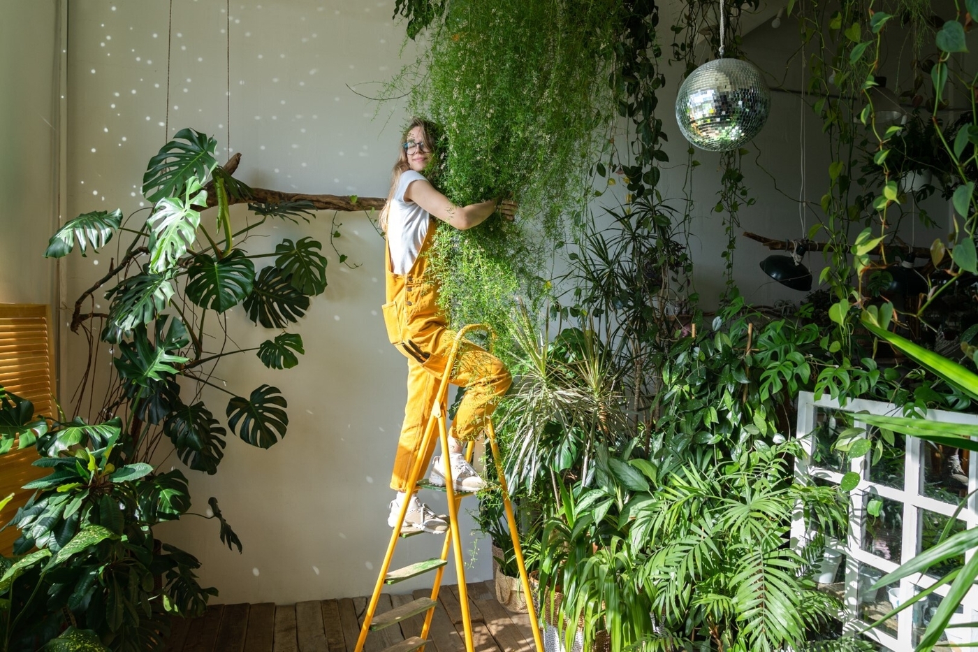 Greenery at home