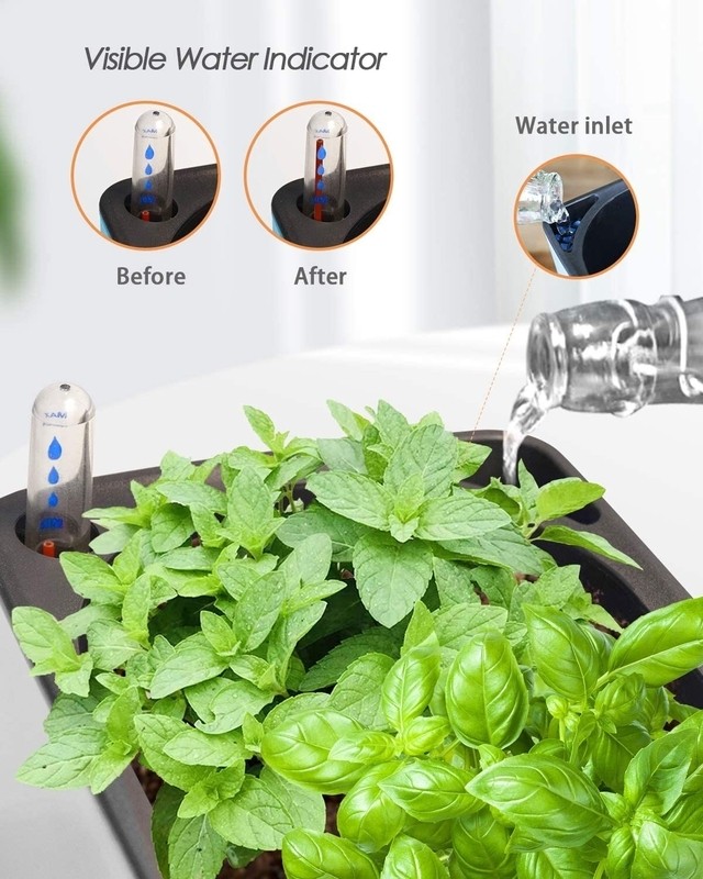 Hargill Self Watering Plastic Planter Box
