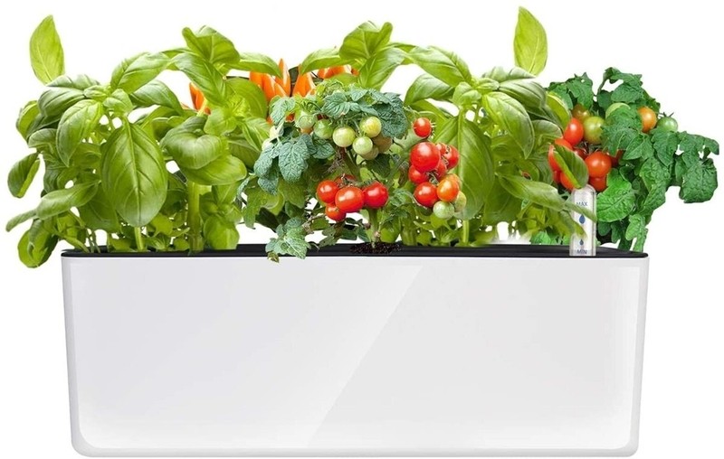 Hargill Self Watering Plastic Planter Box
