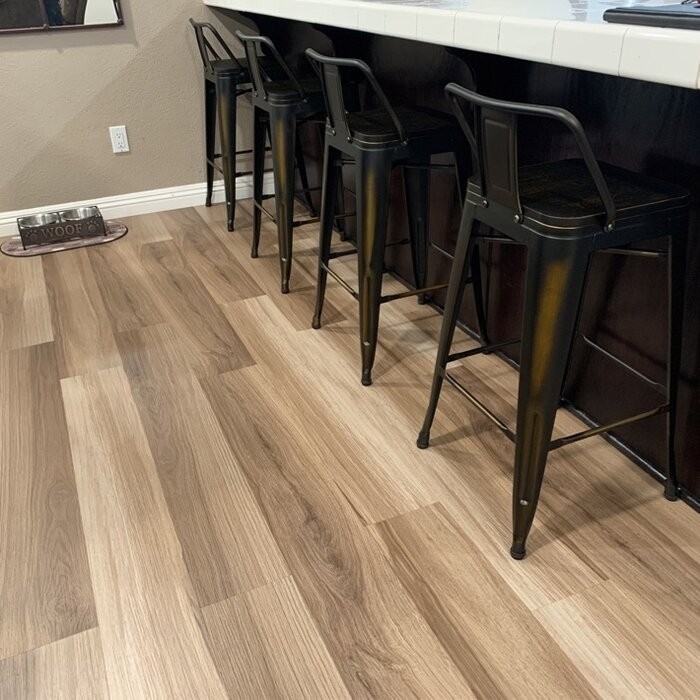 Hartz Bar and Counter Stool