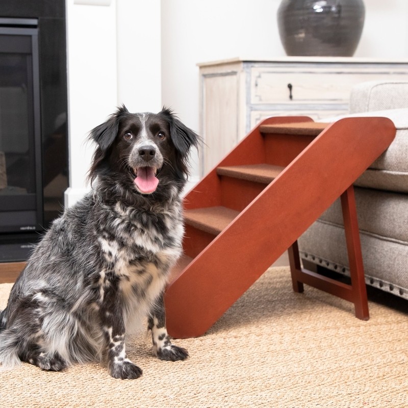 Holliman CozyUp 4 Step Pet Stair