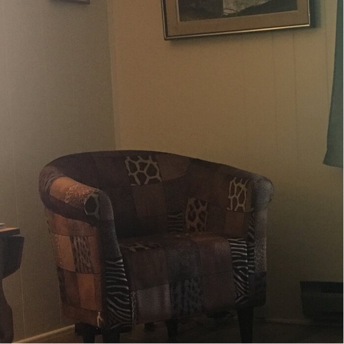Jubentino 30.5'' Wide Barrel Chair