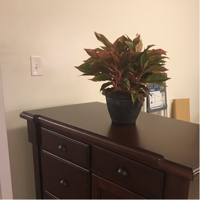 Mclane 48'' Wide Kitchen Island with Solid Wood Top