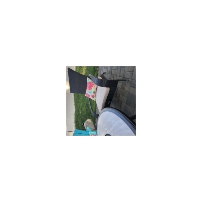 Mitchem Adirondack Patio Chair with Cushions