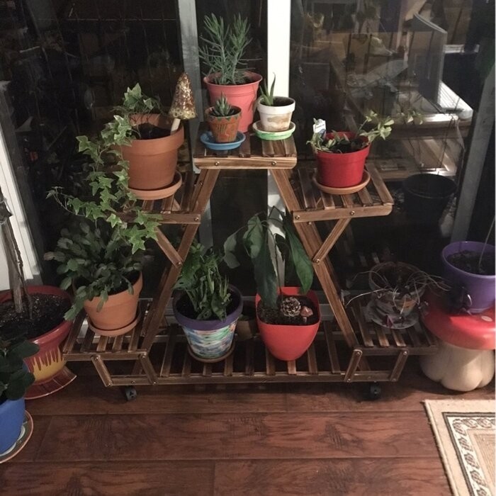Nicholes Rectangular Multi-Tiered Plant Stand