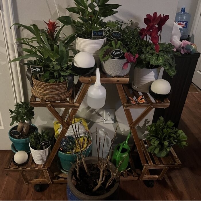 Nicholes Rectangular Multi-Tiered Plant Stand