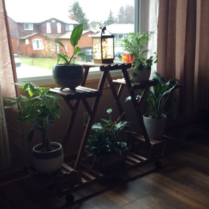 Nicholes Rectangular Multi-Tiered Plant Stand