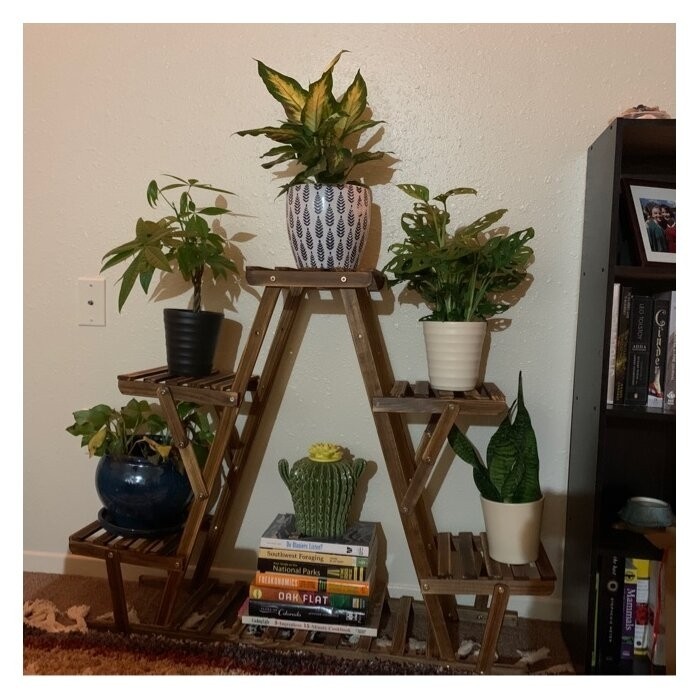 Nicholes Rectangular Multi-Tiered Plant Stand