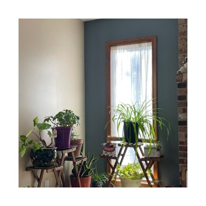 Nicholes Rectangular Multi-Tiered Plant Stand