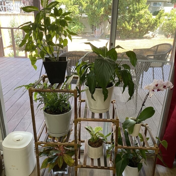 Rectangular Multi-Tiered Solid Wood Plant Stand