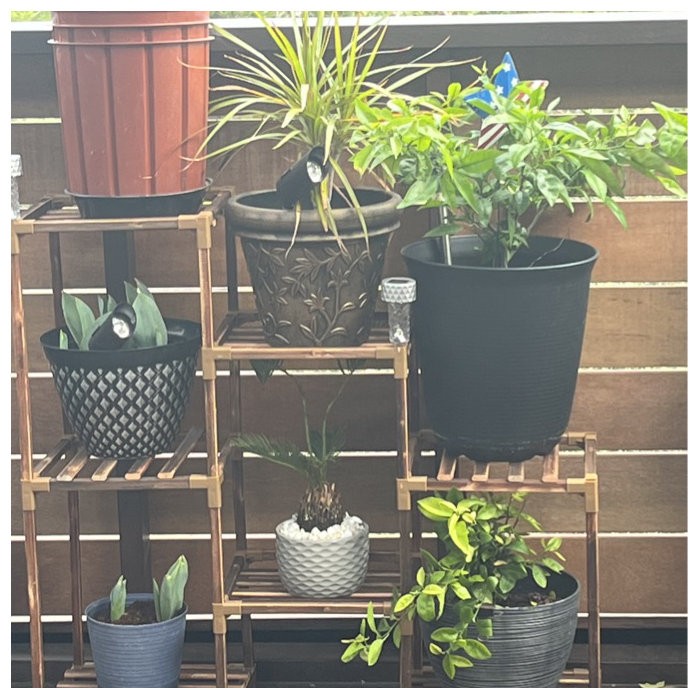 Rectangular Multi-Tiered Solid Wood Plant Stand