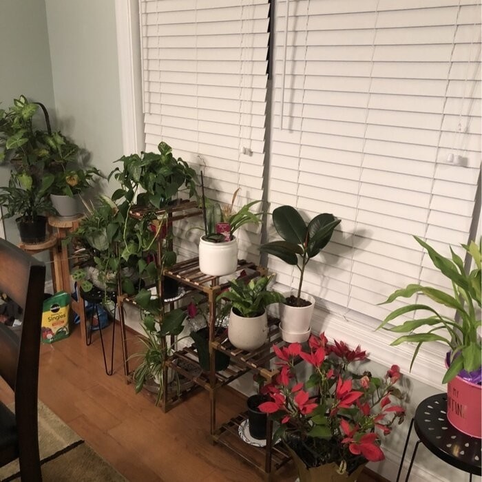 Rectangular Multi-Tiered Solid Wood Plant Stand