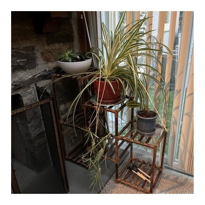 Rectangular Multi-Tiered Solid Wood Plant Stand