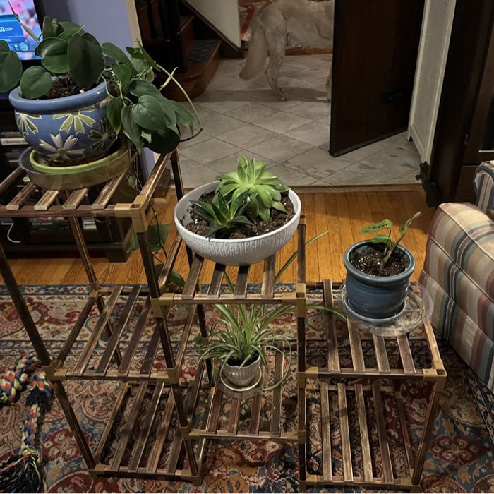 Rectangular Multi-Tiered Solid Wood Plant Stand