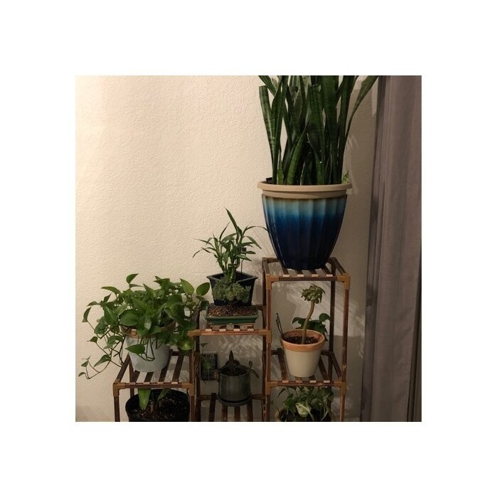 Rectangular Multi-Tiered Solid Wood Plant Stand