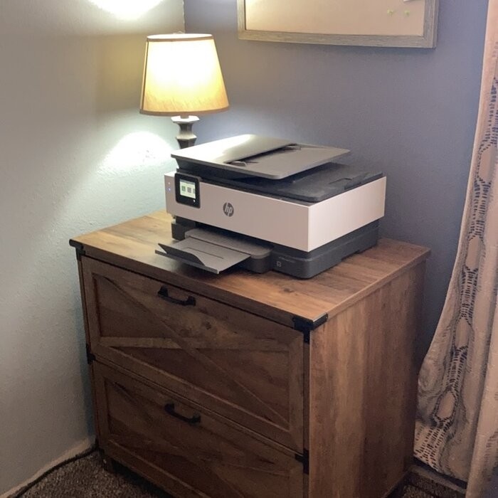 Roney 31.5'' Wide 2 -Drawer Lateral Filing Cabinet