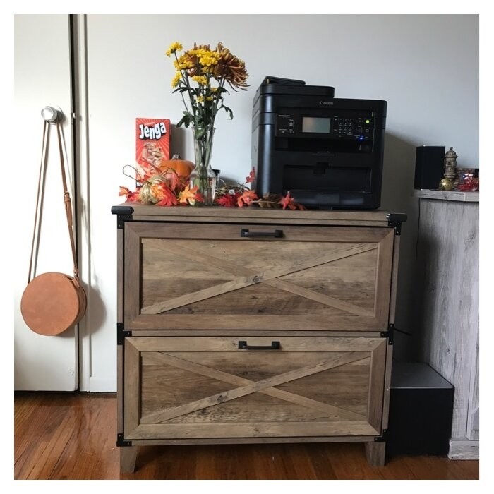 Roney 31.5'' Wide 2 -Drawer Lateral Filing Cabinet