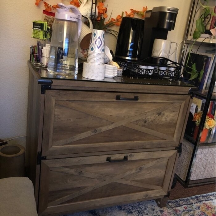 Roney 31.5'' Wide 2 -Drawer Lateral Filing Cabinet