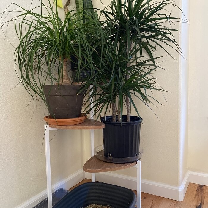 Tallulah Triangular Multi-Tiered Plant Stand