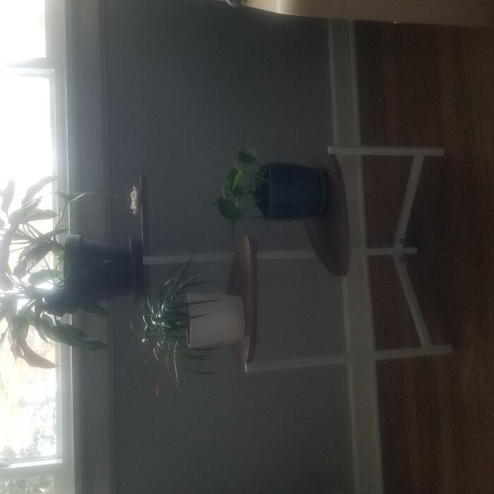 Tallulah Triangular Multi-Tiered Plant Stand