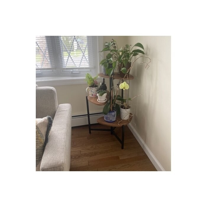 Tallulah Triangular Multi-Tiered Plant Stand