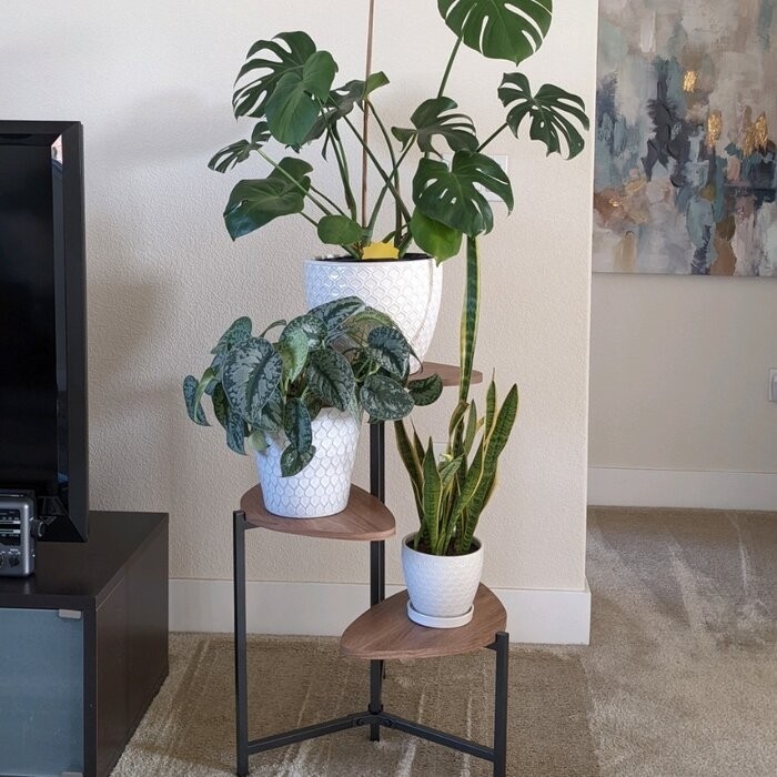 Tallulah Triangular Multi-Tiered Plant Stand