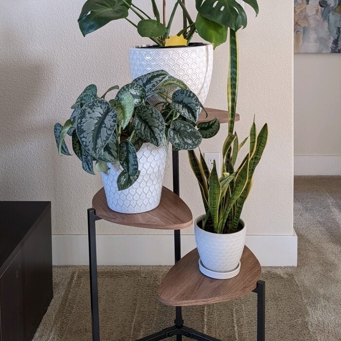 Tallulah Triangular Multi-Tiered Plant Stand
