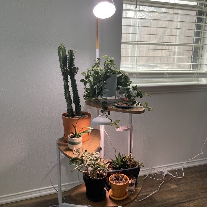 Tallulah Triangular Multi-Tiered Plant Stand