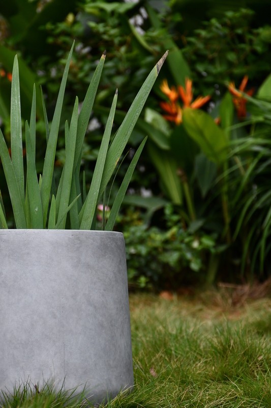 Terri Fiberglass Pot Planter