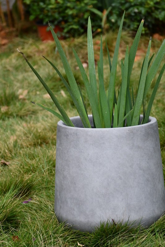 Terri Fiberglass Pot Planter