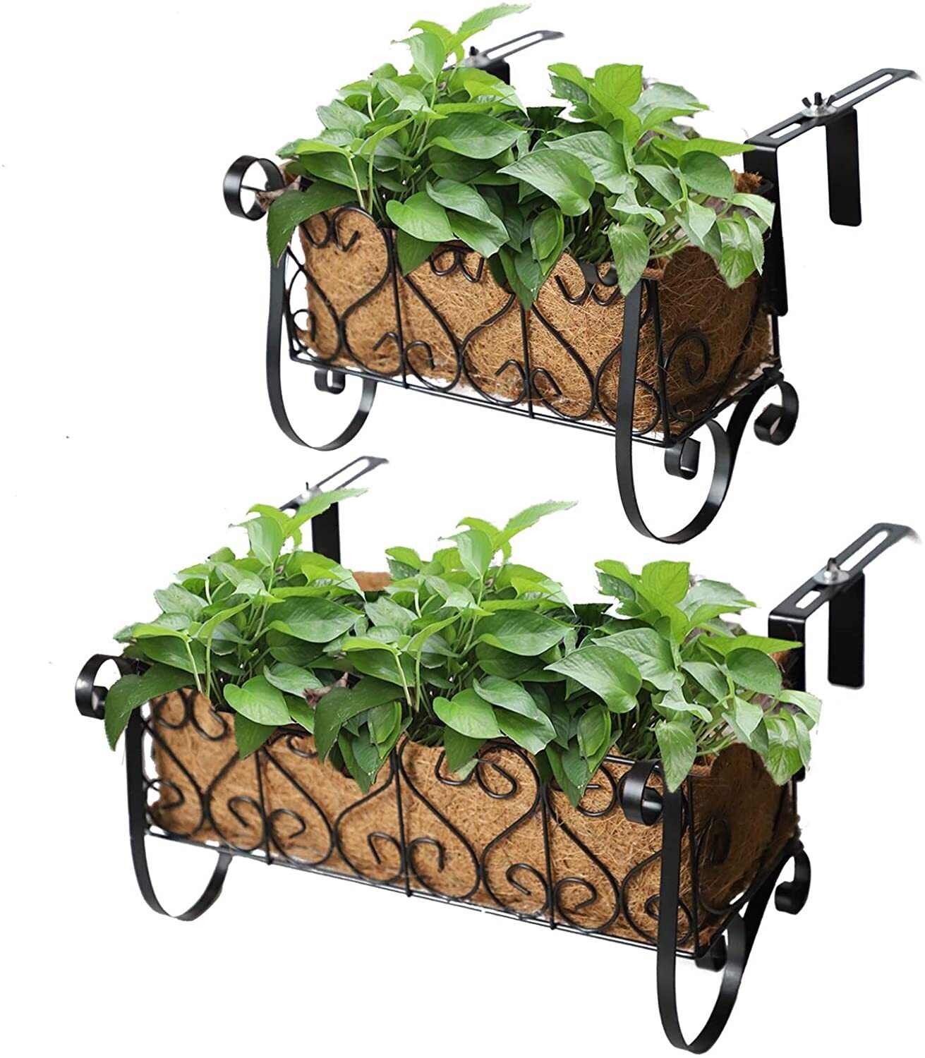 Two Pack Iron Window Boxes