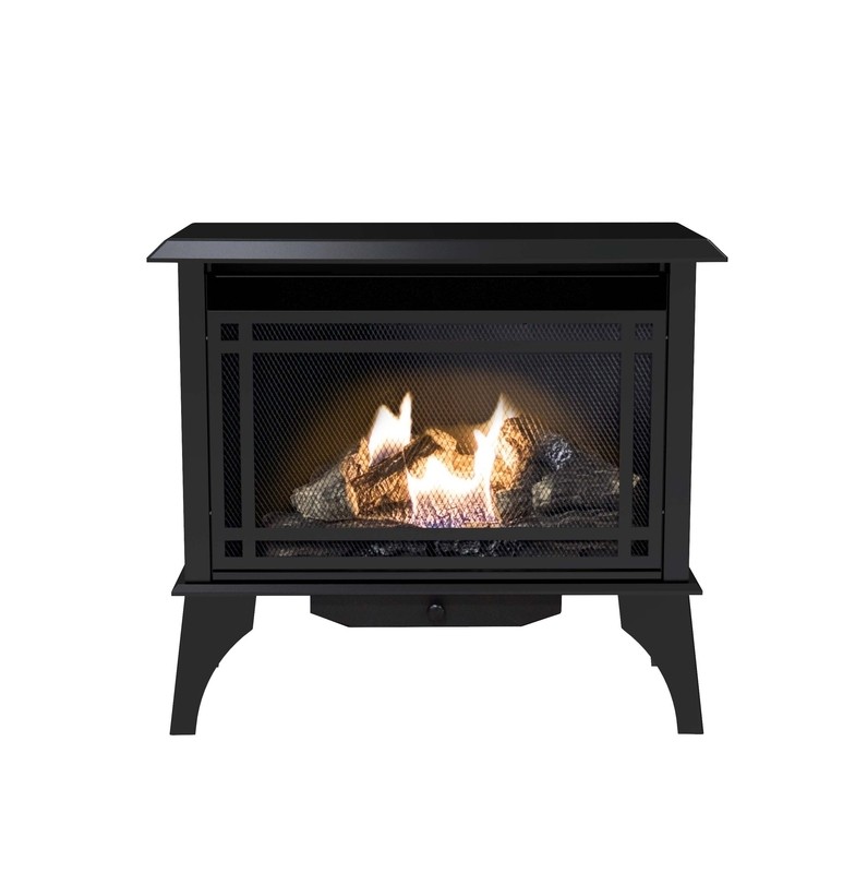 Vent Free Natural Gas Stove
