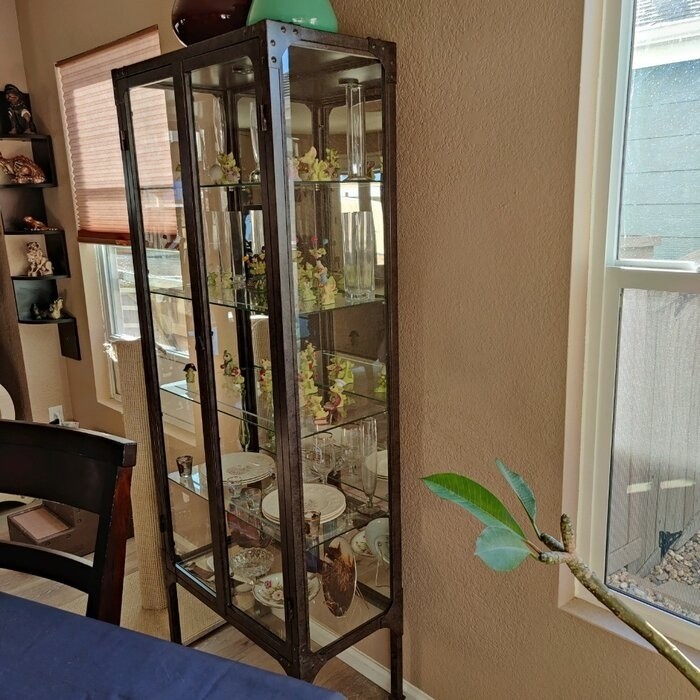 Whittlesey 28'' Wide Mirrored Back Curio Cabinet with Lighting