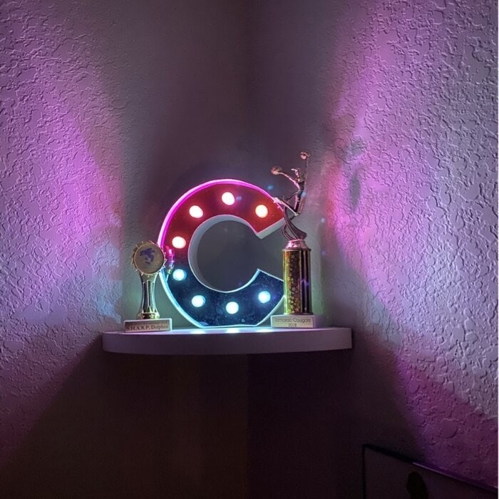 2 Piece Corner Shelf