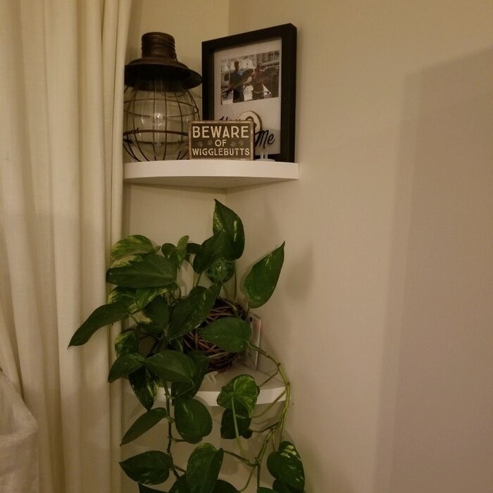 2 Piece Corner Shelf