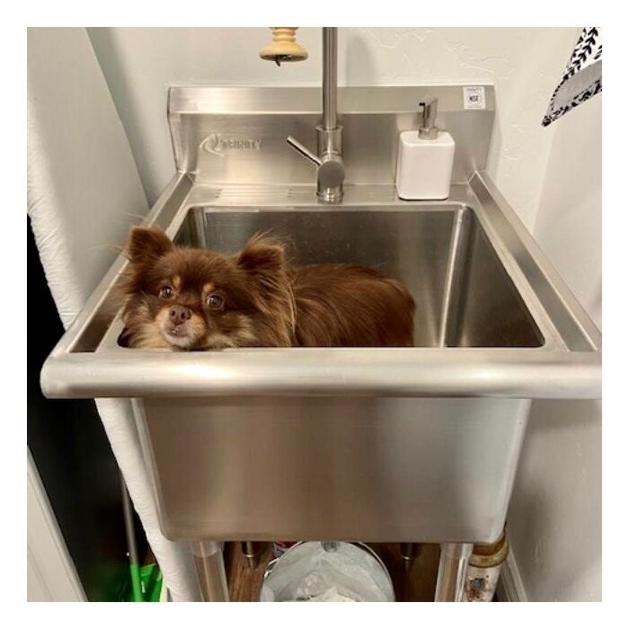 21.5" L x 24" W Free standing Laundry sink with Faucet