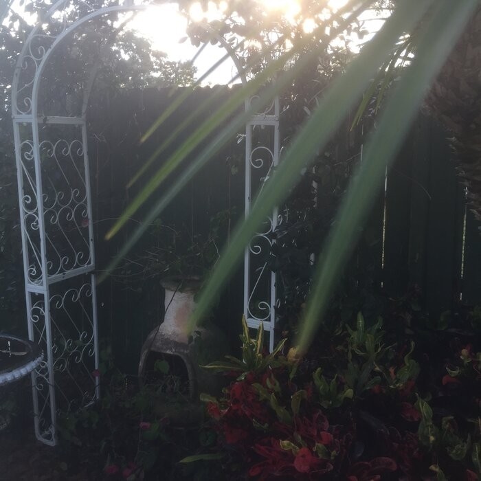 48.5" W x 18.5" D Iron Arbor