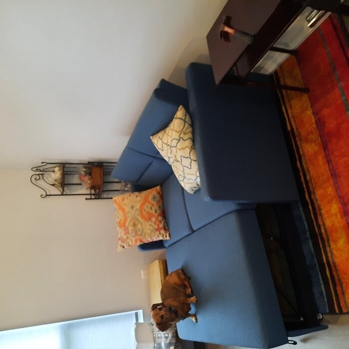 56'' Square Arm Sofa Bed
