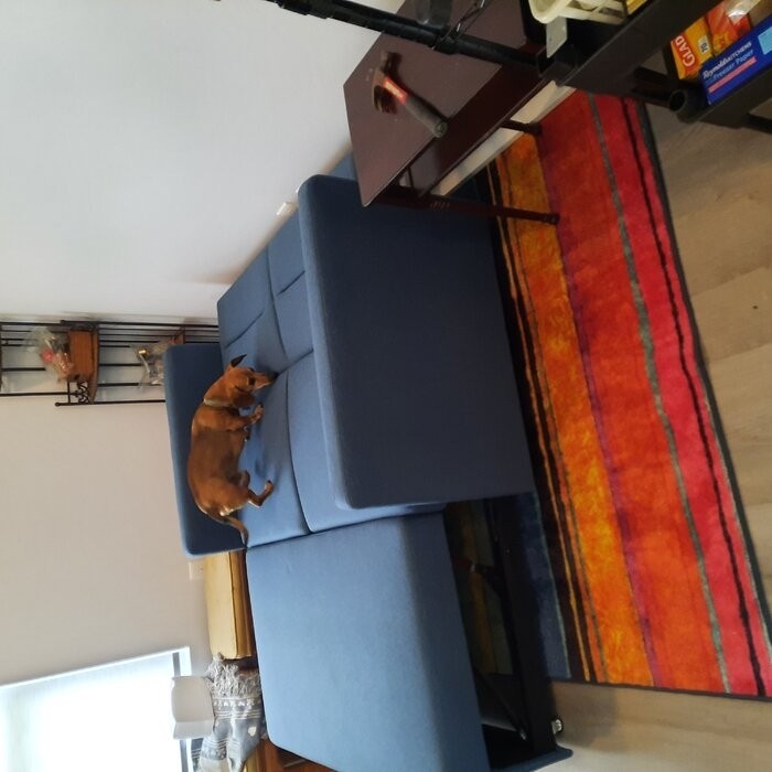 56'' Square Arm Sofa Bed