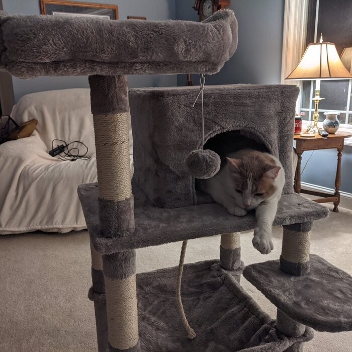 58" Tonquin Cat Tree