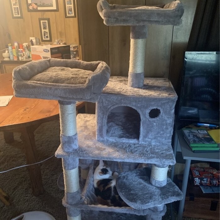 58" Tonquin Cat Tree