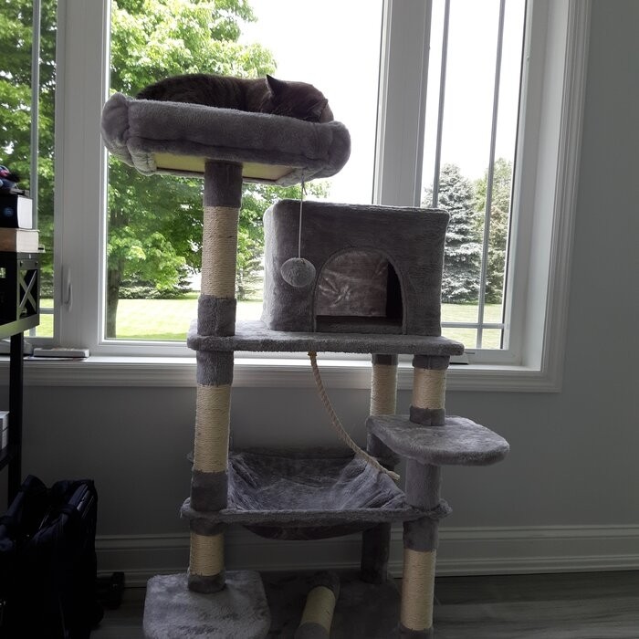 58" Tonquin Cat Tree