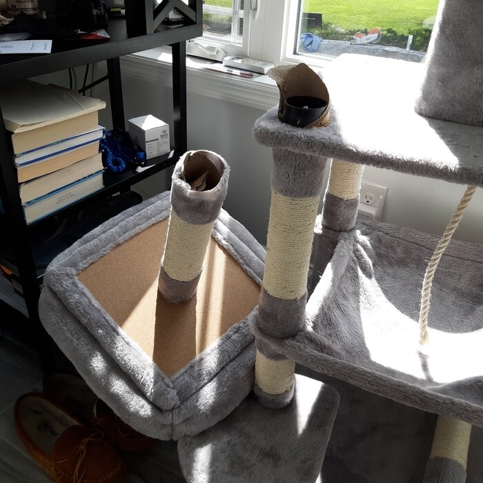 58" Tonquin Cat Tree