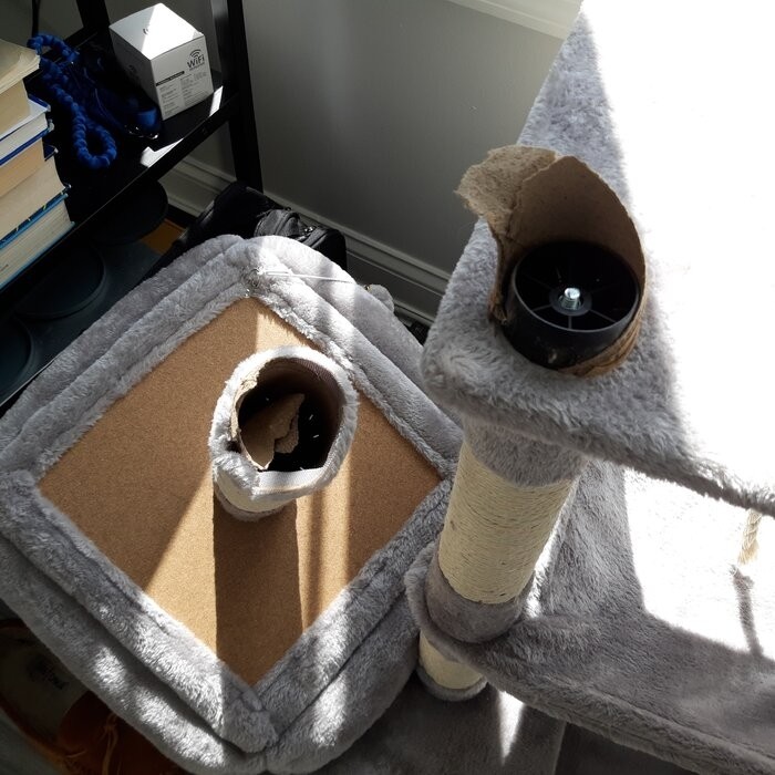 58" Tonquin Cat Tree