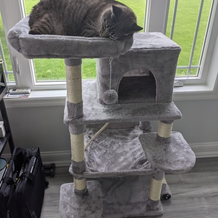 58" Tonquin Cat Tree