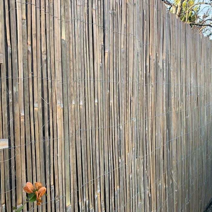 Outdoor Bamboo Privacy Screens Ideas On Foter 6786